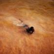Talks, November 18, 2025, 11/18/2025, Documentary & Portrait Photographer Discusses Her Craft