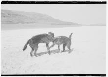 Opening Receptions, October 30, 2025, 10/30/2025, Exploring Value and Abstraction Through Sculpture 