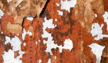 Tours, November 12, 2025, 11/12/2025, Discovering Life in a Historic New York Tenement (Online!) 