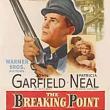 Films, November 13, 2025, 11/13/2025, The Breaking Point (1950): Classic Film Noir Crime Drama
