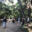 Park Walks, November 21, 2025, 11/21/2025, Forest Bathing - A Guided Mindful Nature Exploration