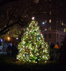 Festivals, December 07, 2025, 12/07/2025, Holiday Tree Lighting (Live Music, Hot Chocolate, & Treats)