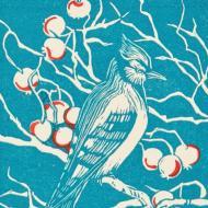 Birdwatchings, December 18, 2025, 12/18/2025, Winter Birding in Central Park