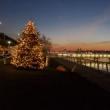Partys, December 06, 2025, 12/06/2025, Tree Lighting on the Hudson