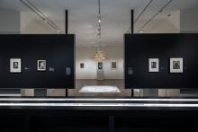 Museumss, January 22, 2026, 01/22/2026, Conversations with Curators: Modern Art