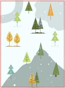 Park Walks, December 14, 2025, 12/14/2025, Winter Tree Exploration