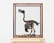 Opening Receptions, January 15, 2026, 01/15/2026, New Works Exploring Science, Systems, and Humor