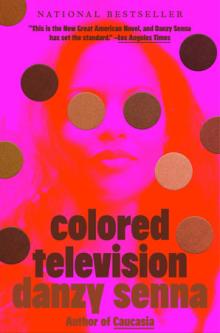 Book Clubs, February 24, 2026, 02/24/2026, Discuss&nbsp;Colored Television&nbsp;by Danzy Senna