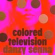 Book Clubs, February 24, 2026, 02/24/2026, Discuss&nbsp;Colored Television&nbsp;by Danzy Senna