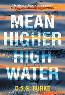 Author Readings, February 08, 2026, 02/08/2026, Deborah Burke Shares Her New Novel,&nbsp;Mean Higher High Water