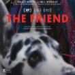 Films, February 03, 2026, 02/03/2026, The Friend (2024): Drama Film with Naomi Watts & Bill Murray