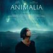 Screenings, February 17, 2026, 02/17/2026, Animalia (2023): French-Moroccan Sci-Fi Film