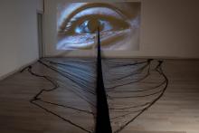 Lectures, January 27, 2026, 01/27/2026, Transdisciplinary Artist Jeanine Oleson Discusses Her Career & Craft (In Person AND Online!)