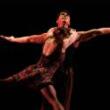 Dance Performances, January 11, 2026, 01/11/2026, Paul Taylor&rsquo;s&nbsp;Community Showcase