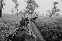 Book Discussions, February 24, 2026, 02/24/2026, Photographer David Katzenstein Shares His New Book,&nbsp;Distant Journeys&nbsp;
