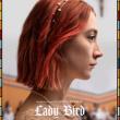 Films, February 28, 2026, 02/28/2026, Lady Bird (2017): Coming-of-Age Comedy-Drama with&nbsp;Saoirse Ronan &&nbsp;Timoth&eacute;e Chalamet