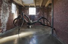 Lectures, January 28, 2026, 01/28/2026, Rewriting Female Identity in Contemporary Art