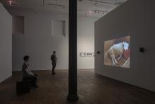 Opening Receptions, January 31, 2026, 01/31/2026, On Images in Motion and Transformation