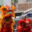 Festivals, February 15, 2026, 02/15/2026, Lunar New Year Celebration with Lion Dances and Family Activities