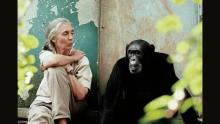 Discussions, March 25, 2026, 03/25/2026, Discover Jane Goodall's (the legendary primatologist known as "the chimp whisperer") Legacy with Experts (In Person AND Online!)