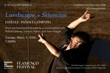 Dance Performances, March 03, 2026, 03/03/2026, Flamenco Dance + Conversation&nbsp;