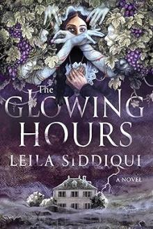 Book Discussions, March 03, 2026, 03/03/2026, Leila Siddiqui Shares Her New Novel, The Glowing Hours (In Person AND Online!)