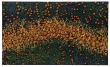 Opening Receptions, March 05, 2026, 03/05/2026, Living Portraits: Science‑Inspired Paintings