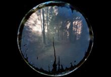 Workshops, April 21, 2026, 04/21/2026, Explore the Art of Pinhole Photography