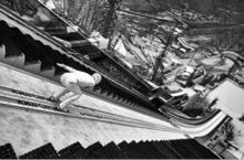 Workshops, April 22, 2026, 04/22/2026, Learn How about&nbsp;Unique Perspectives on Photographing Sports