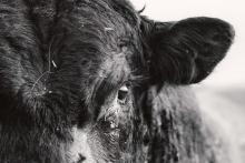 Opening Receptions, March 10, 2026, 03/10/2026, Multi-Artist Photo/Film Exhibition