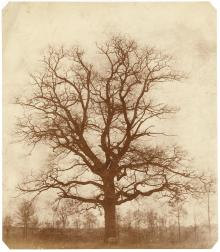 Explore the History & Legacy of the Art of Photography