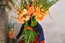 Workshops, March 31, 2026, 03/31/2026, Travel Photographer Teaches Fundamentals of His Craft