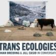 Discussions, March 26, 2026, 03/26/2026, Art Experts Discuss the Concept & Framework of Trans Ecologies&nbsp;