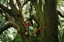 Lectures, April 01, 2026, 04/01/2026, Eating at the Clay Banks: Black Geophagic Imagination