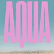 Book Discussions, April 15, 2026, 04/15/2026, Book Launch--Aqua: A Story of Water and Lost Dreams by&nbsp;Chiara Barzini (+ Signing)