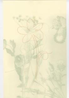 Opening Receptions, April 25, 2026, 04/25/2026, Celebrating Earth Day: Original Prints on Environmentalism & Nature