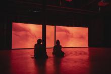 Talks, April 20, 2026, 04/20/2026, Artist Shares Her New Project on Nature & Disappearance