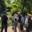 Park Walks, May 04, 2026, 05/04/2026, Explore NYC's Greenspace with a Professional Horticulturist