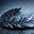 Plays, June 02, 2026, 06/02/2026, Shakespeare's Julius Caesar Live in the Park