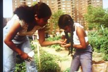 Screenings, April 29, 2026, 04/29/2026, Green Streets (1989): Acclaimed Documentary of NYC Community Gardens (+ FIlmmaker Discussion)