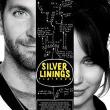Films, May 20, 2026, 05/20/2026, Silver Linings Playbook (2012): Romantic Comedy-Drama with Bradley Cooper & Jennifer Lawrence