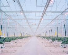 Discussions, May 20, 2026, 05/20/2026, Natural History Museum in Vienna-Featured Photographer Discusses His Craft & Career