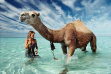 Talks, May 12, 2026, 05/12/2026, Time, Life, & National Geographic Photojournalist Discusses His Craft & Career