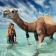 Talks, May 12, 2026, 05/12/2026, Time, Life, & National Geographic Photojournalist Discusses His Craft & Career