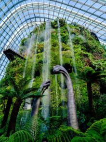 Talks, May 26, 2026, 05/26/2026, Museum of Natural History Photographer Discusses His Craft & Career