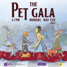 Festivals, May 04, 2026, 05/04/2026, Pet Fashion Show (Red Carpet, Photos, Caricatures)