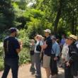 Park Walks, June 23, 2026, 06/23/2026, Horticulturist Leads Park Exploration:&nbsp;Learn More about Local Plants