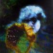 Opening Receptions, May 12, 2026, 05/12/2026, Meta-Paintings, Photography, and Hauntological Images