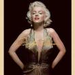 Book Discussions, June 16, 2026, 06/16/2026, Celebrate Marilyn Monroe's Life through Photographs (+ Signing)