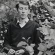 Book Discussions, June 10, 2026, 06/10/2026, Read & Analyze Nobel Prize Winner's Poetry,&nbsp;Seventeen Poems by&nbsp;Tomas Transtr&ouml;mer